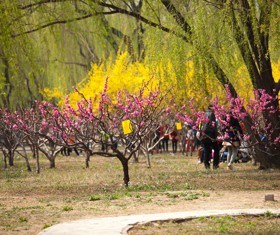 公司組織全體員工春游團建活動